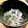 azbjbn's cooksnap of when they made 混ぜるだけ！簡単一品！めかおくなっとう！.