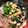 ぷりっこ警備会社's cooksnap of when they made すぐ出来る！わかめと卵のあったかうどん♡.