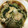 食べまくり's cooksnap of when they made 白菜と小松菜とちくわの煮浸し.