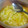凸凹道's cooksnap of when they made 我が家の簡単！ねぎ塩ダレ.