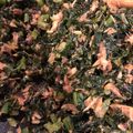 きの子べんとう's cooksnap of when they made 大根の葉とサバ缶で！絶品ゴハンのおとも.
