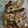 ぐりっちぃ's cooksnap of when they made れんこんのあまからみそ炒め.
