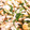 lalala11's cooksnap of when they made 簡単おつまみ！竹輪の大葉和え.