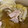 ♪♪カゲモエママ♪♪'s cooksnap of when they made だし汁を使わない白菜豚鍋.