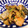 bibendum75's cooksnap of when they made 鮭のみぞれ煮♪まいたけ入り♪しっとりと.