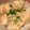 ゆいまーるん's cooksnap of when they made 簡単♪とろ～りたらこ豆腐.
