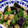 みゆー120's cooksnap of when they made ☆ナスとピーマンの味噌炒め☆.