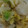 クックWZ7H5K☆'s cooksnap of when they made 簡単5分！お弁当にも♪白菜の麺つゆ和え.