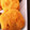 じゅんegu's cooksnap of when they made しっとりおからクッキー(南瓜).