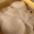 ユカtoマオマオ's cooksnap of when they made 大根で漬物千枚漬け。.