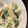 cook77's cooksnap of when they made 10分でできるコクうま小松菜豆乳スープ.