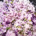 むむたんのキッチン's cooksnap of when they made 綺麗！紫芋ご飯.