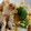 chima25's cooksnap of when they made 豚こまと白菜と卵のオイスターソース炒め.