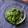 栗丸うさぎ's cooksnap of when they made ほうれん草のお浸し.