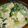 クックVOY1Q3☆'s cooksnap of when they made 簡単♪美味しい☆小松菜と豆腐の卵とじ.