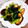 ももんじゃー's cooksnap of when they made ほうれん草と椎茸の塩昆布炒め.