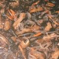 ままミッツ's cooksnap of when they made 簡単☆ひじき煮.
