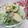 ごーあい's cooksnap of when they made 春キャベツ＆りんごのサラダ♪♪.