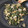 く～ちゃんです！'s cooksnap of when they made 最強のご飯の友！大根葉と豚小間炒め★.