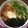 めがねりんご's cooksnap of when they made 超簡単☆10分でわかめたっぷりうどん♪.