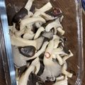 ブゥミン's cooksnap of when they made 霜降りひらたけの塩きのこ.