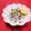 Satoco❋'s cooksnap of when they made ふぐ皮〜〜てっぴ.