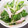 ぐるぐるしろたん's cooksnap of when they made きゅうりの大量消費！ハムと白だしサラダ♪.