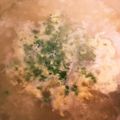 ムーミン☆ママ's cooksnap of when they made 豚 しゃぶしゃぶ 鍋.