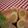 モカシナ's cooksnap of when they made うど竹輪.