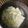 ぷんしゅ's cooksnap of when they made シンプル湯豆腐.