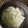 ぷんしゅ's cooksnap of when they made シンプル湯豆腐.