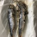 クックBLTENE☆'s cooksnap of when they made めざしはレンジで☆簡単 和食.