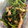 クックCA3R7K☆'s cooksnap of when they made ほうれん草としめじのオイスター炒め.