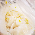 ハチ8コロ8's cooksnap of when they made すし酢で簡単浅漬け！ゆず大根★.