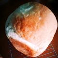 ツナシャチ's cooksnap of when they made 全てg表記！HBでミルクたっぷり食パン♡.