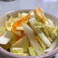 jamchammy's cooksnap of when they made りんごと白菜のマリネサラダ.