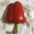 youすずニャン's cooksnap of when they made 簡単！パプリカの保存方法　コツあり.