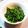 jyorinu's cooksnap of when they made 春菊のナムル.