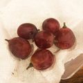 かんきっちゃん's cooksnap of when they made ぶどうの保存方法.