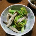 ramieru's cooksnap of when they made ブロッコリーときのこのサラダ.