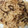 CoffeeCoco's cooksnap of when they made 味付けなしの炊き込みご飯♪.