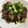 エレガ's cooksnap of when they made 10分で完成！牛コマえのきロール焼.