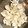 さばを's cooksnap of when they made ゆり根の下処理【工程画像付き】.