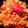 ame-ikuru's cooksnap of when they made しっとりトマトピラフ.