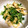 けんよこ's cooksnap of when they made 簡単、早っ旨っ豆苗炒め.