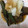 anemonenan's cooksnap of when they made 揚げないなすとオクラのあげびたし.