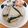 クックTHM5YF☆'s cooksnap of when they made いりこ出汁の取り方.