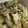 クックUSUN6I☆'s cooksnap of when they made 簡単✿白菜と厚揚げの蒸し煮.