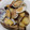 ☆みいKK☆'s cooksnap of when they made あさりのバター炒め.