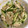 なみか☆'s cooksnap of when they made 餃子のタレでささみときゅうりの中華サラダ.
